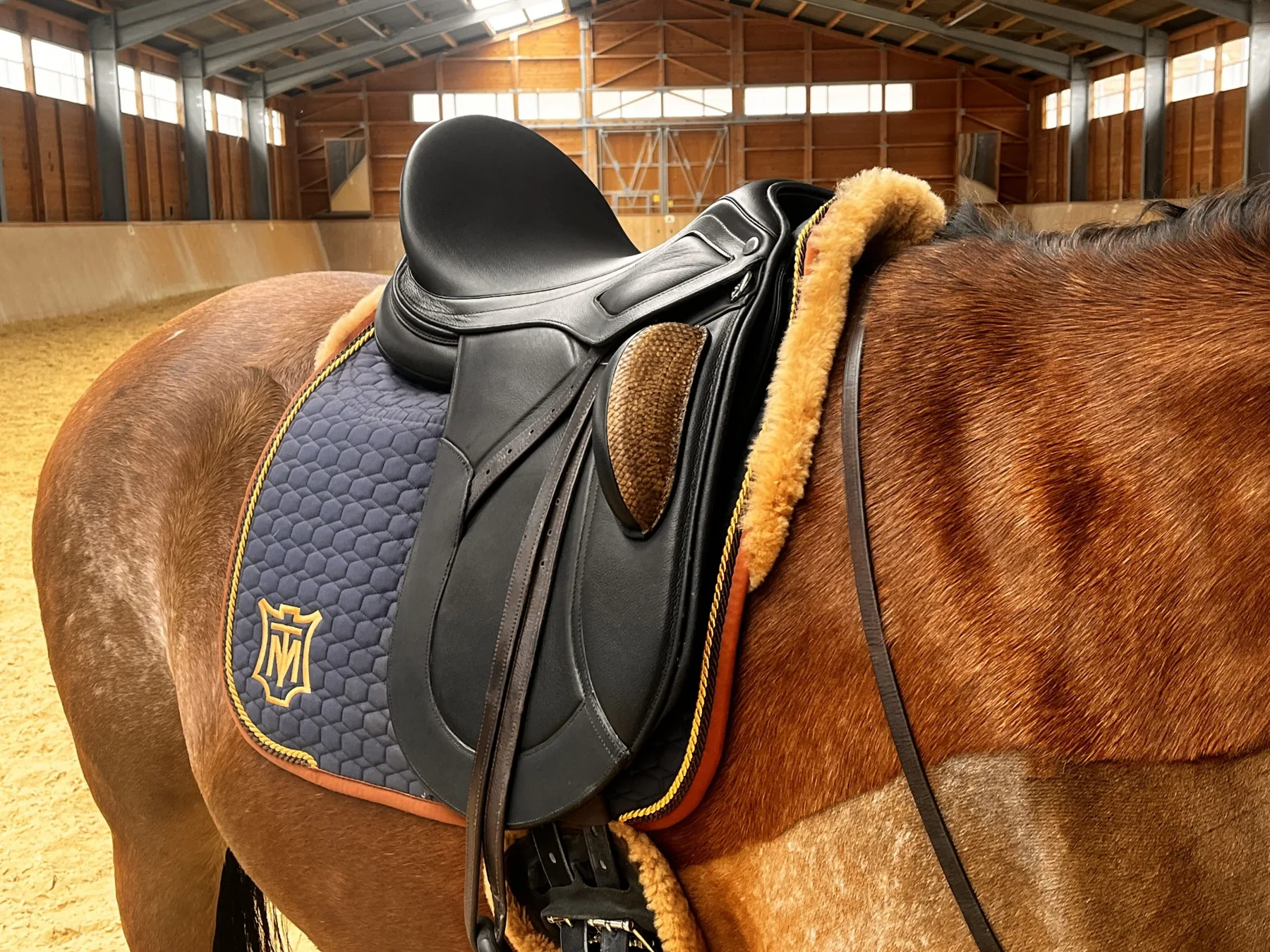 Pferd mit Sattel im Stall